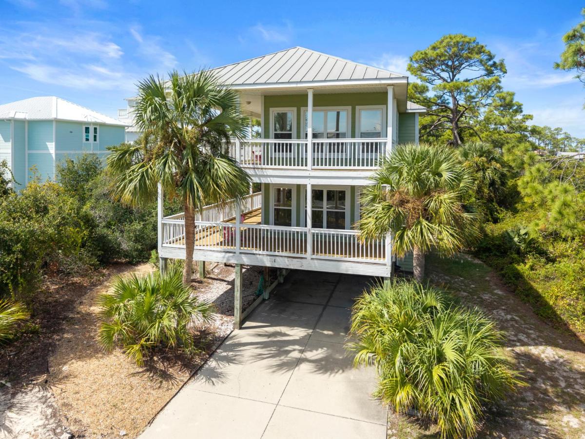 Cape Palms — photo 1