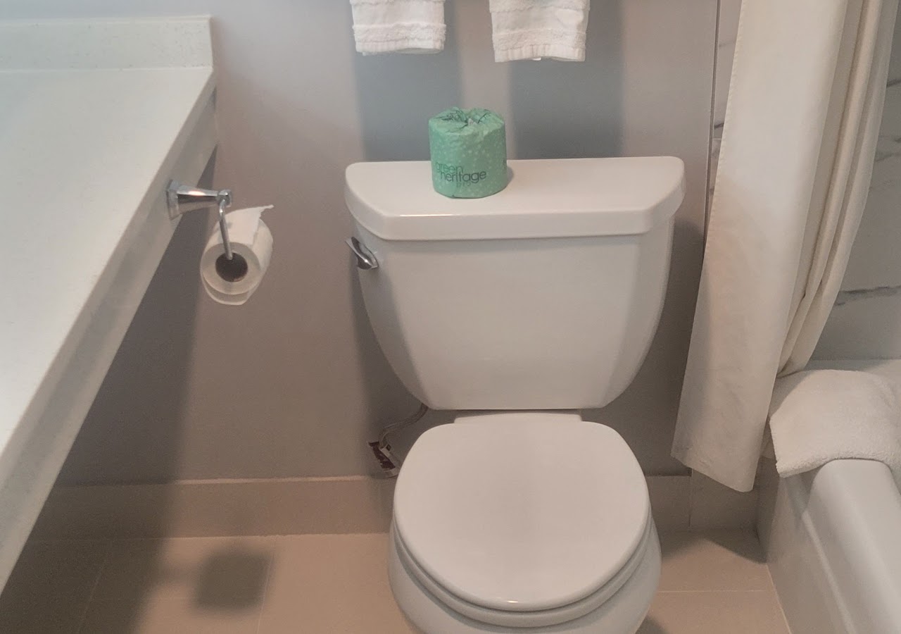 The Royal Inn & Suites — photo 3