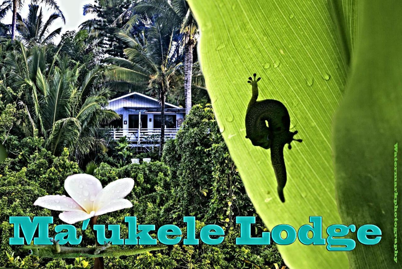Ma’ukele Lodge — photo 1