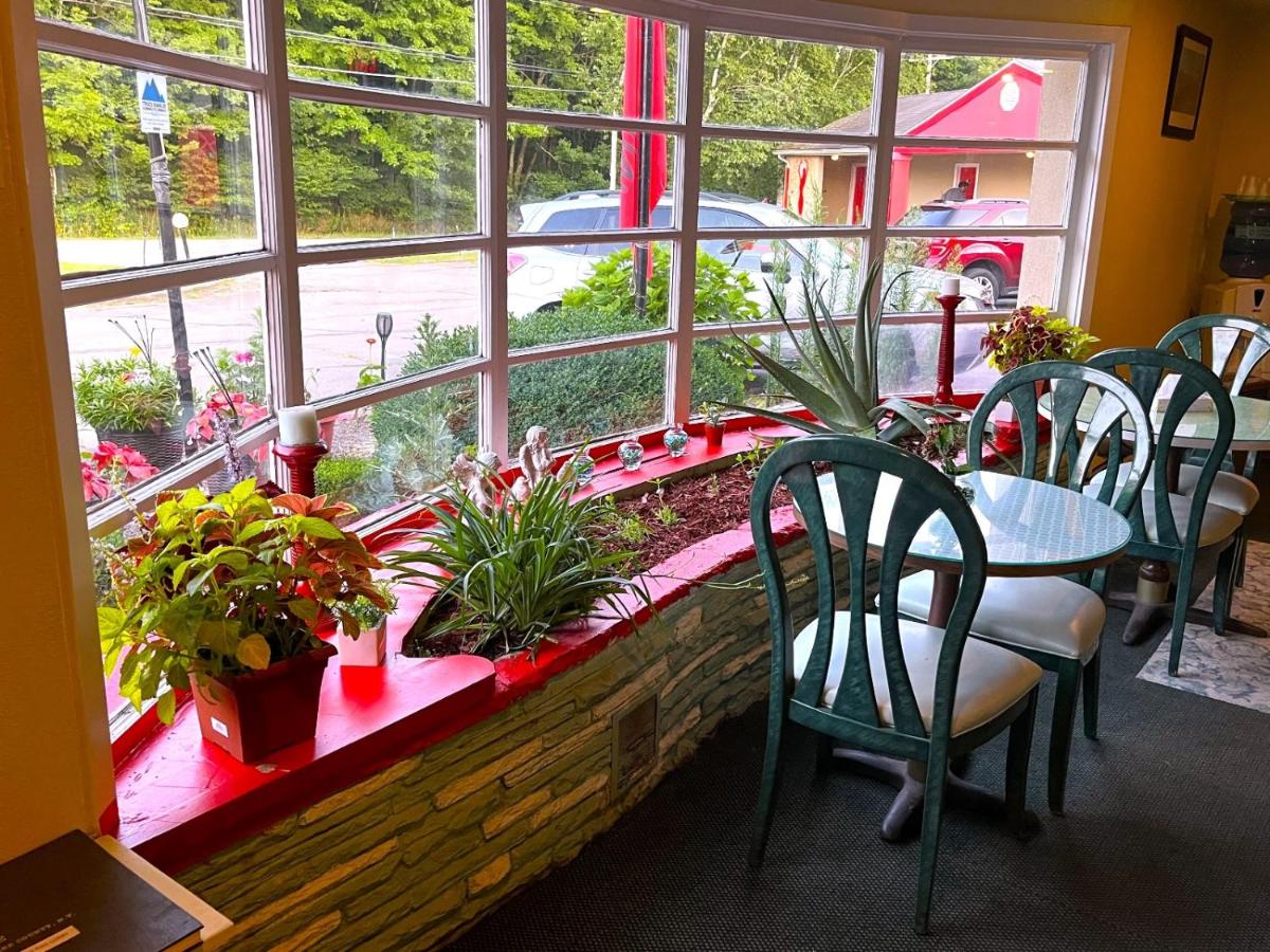 Buena Vista Inn Motel — photo 1