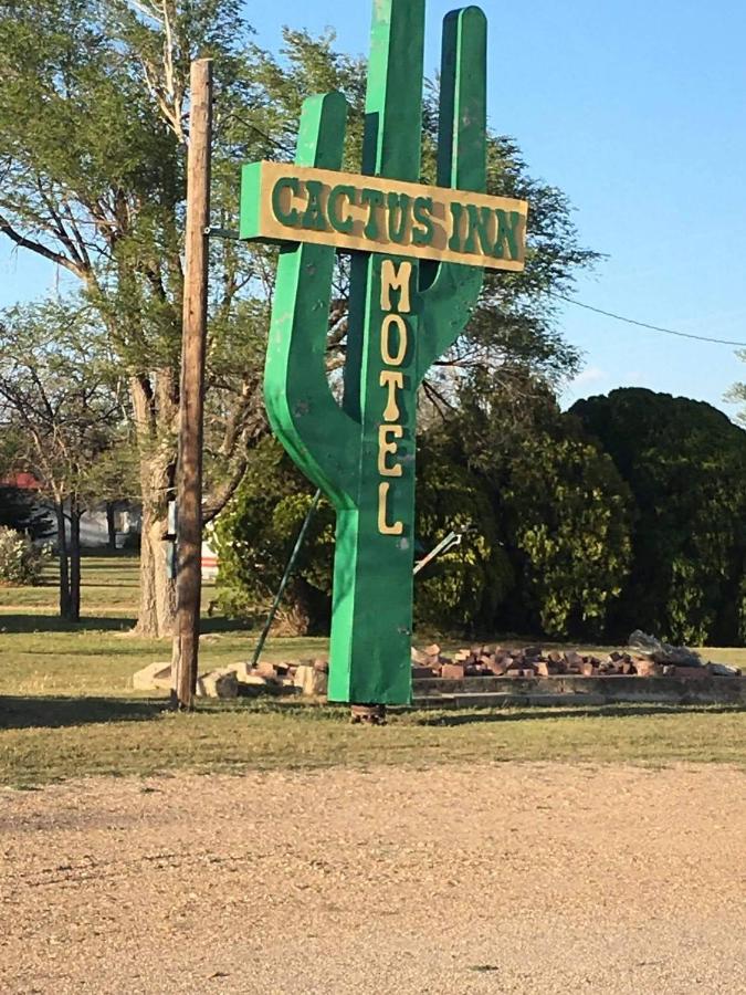 Cactus Inn — photo 1