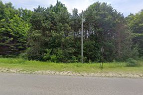 Wind In the Pines B & B — photo 1