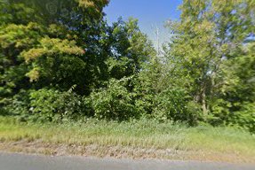 Classert’s Willowcove — photo 1