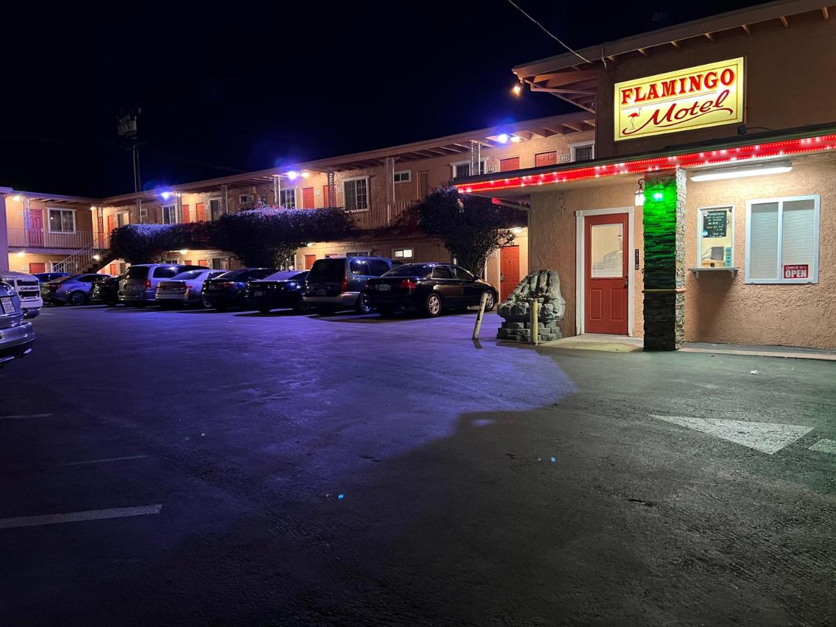 Flamingo Motel — photo 1